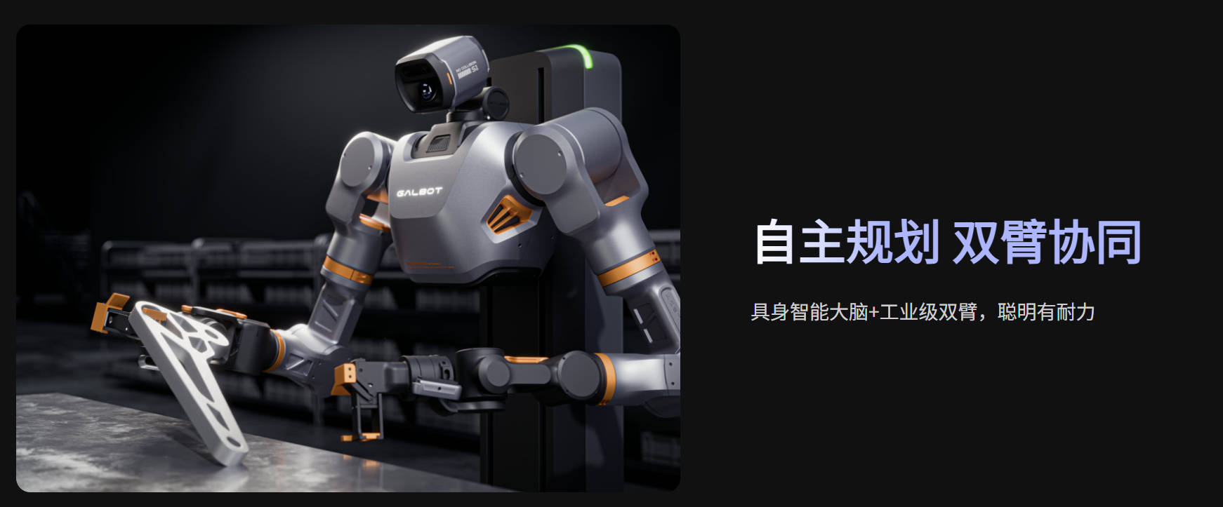 S1 图4.jpg