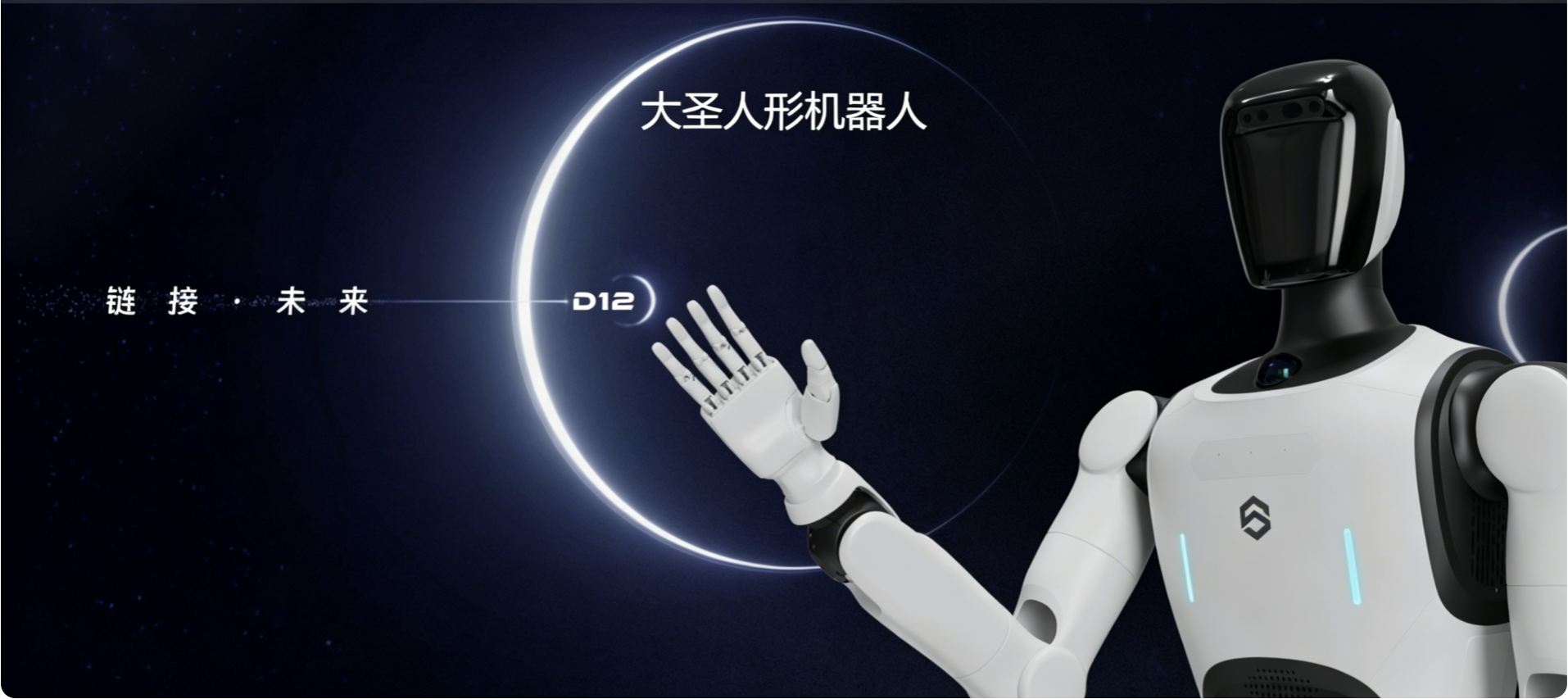 大圣D12 图1.png