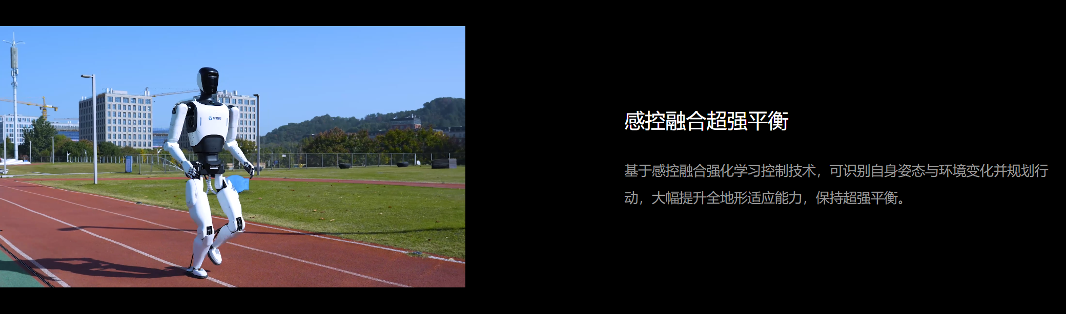 大圣D12 图2.png