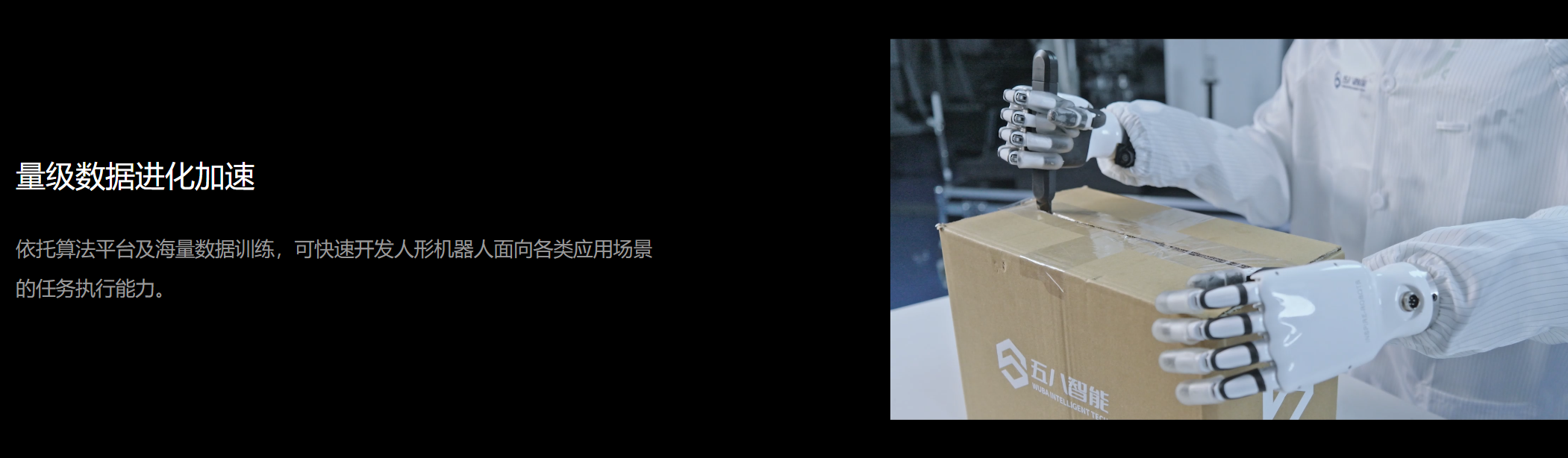 大圣D12 图3.png