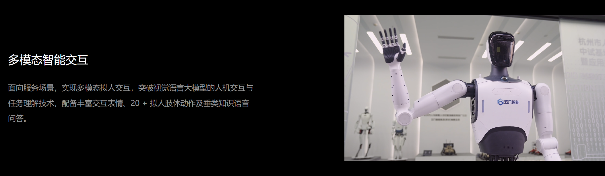 大圣D12 图5.png