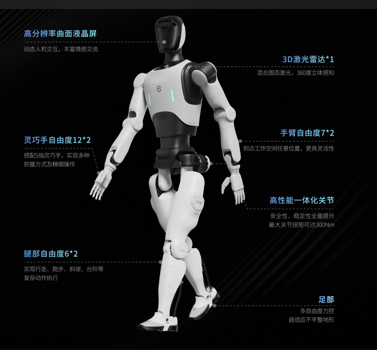 大圣D12 参数图2.png